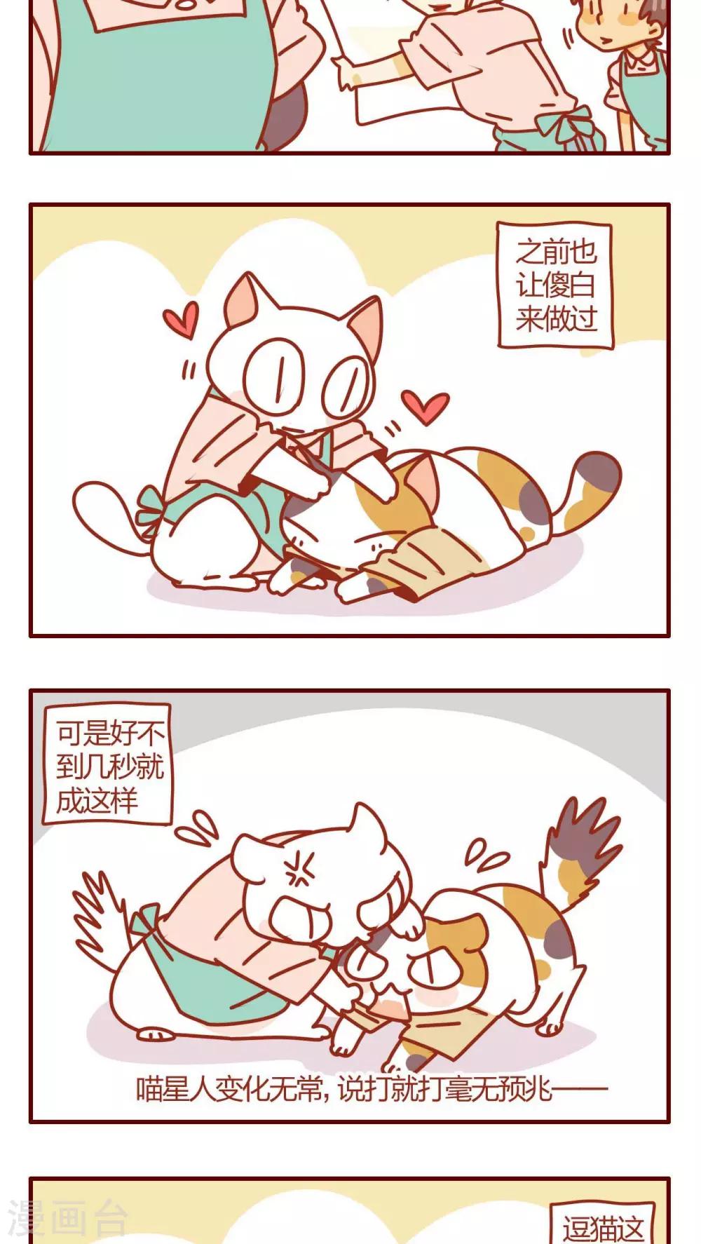 《猫咪甜品屋》第34话 第3页