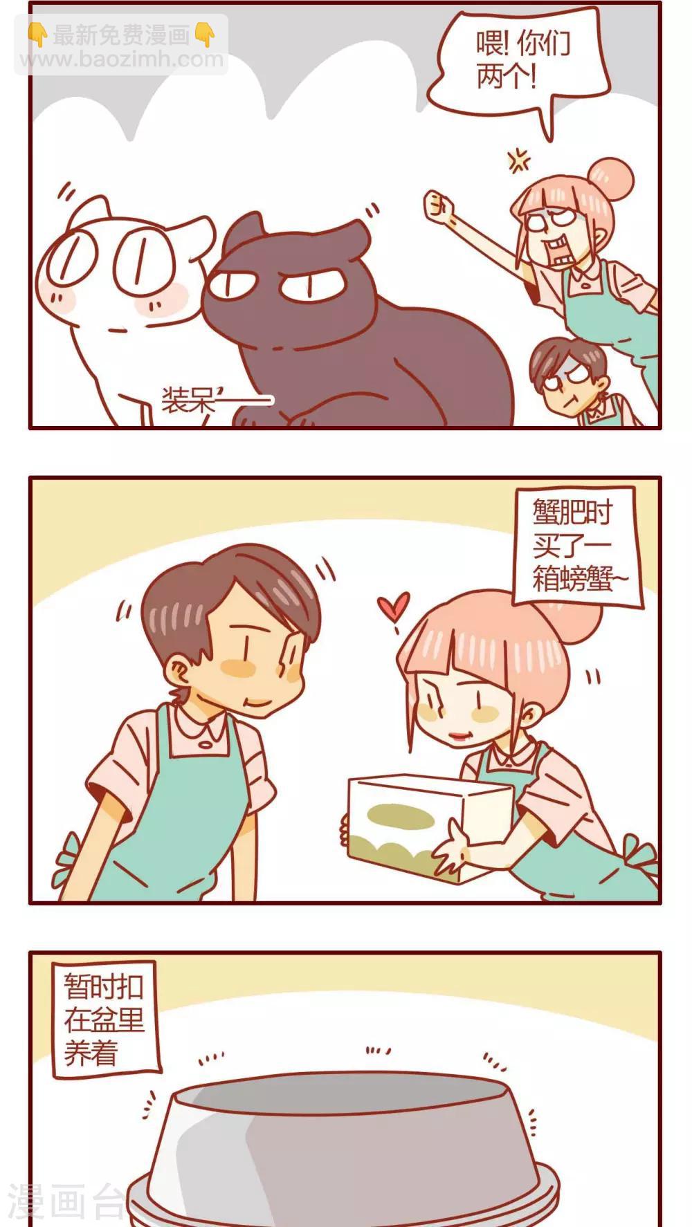 《猫咪甜品屋》第37话 第2页