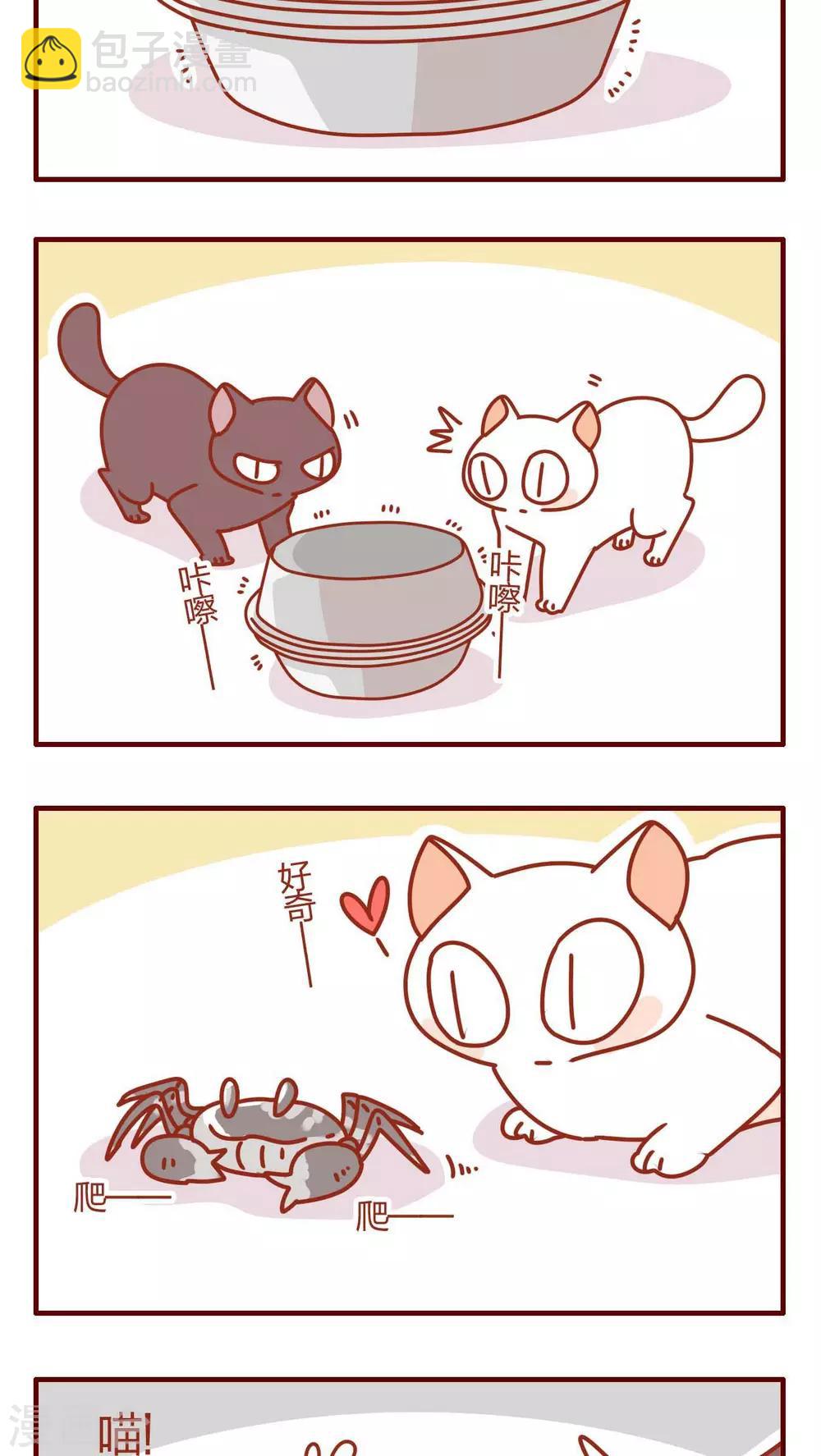 《猫咪甜品屋》第37话 第3页