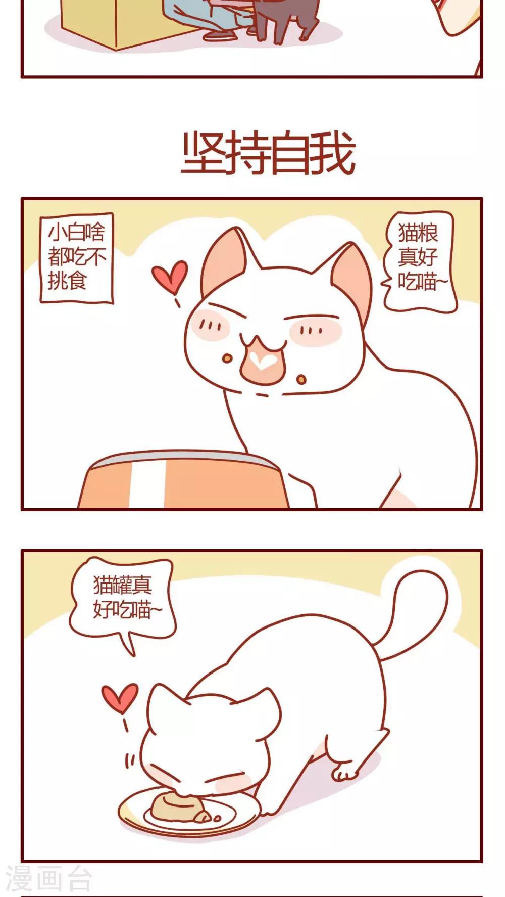 《猫咪甜品屋》第39话 第5页