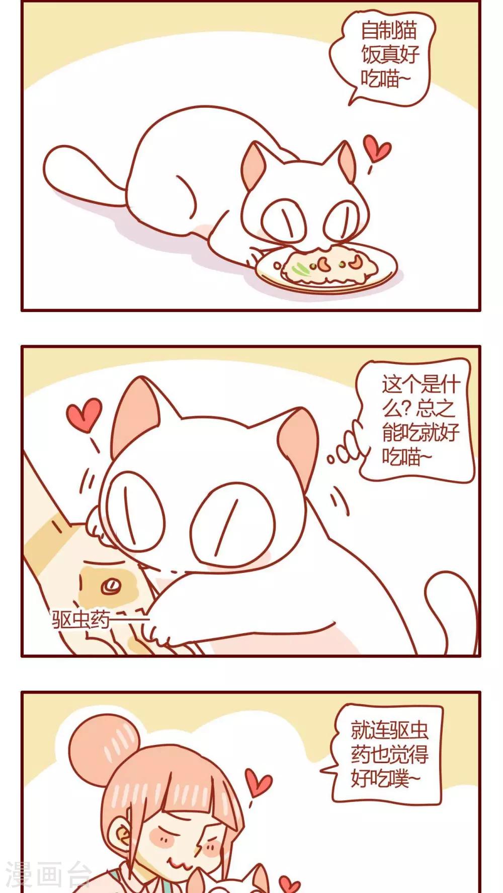 《猫咪甜品屋》第39话 第6页