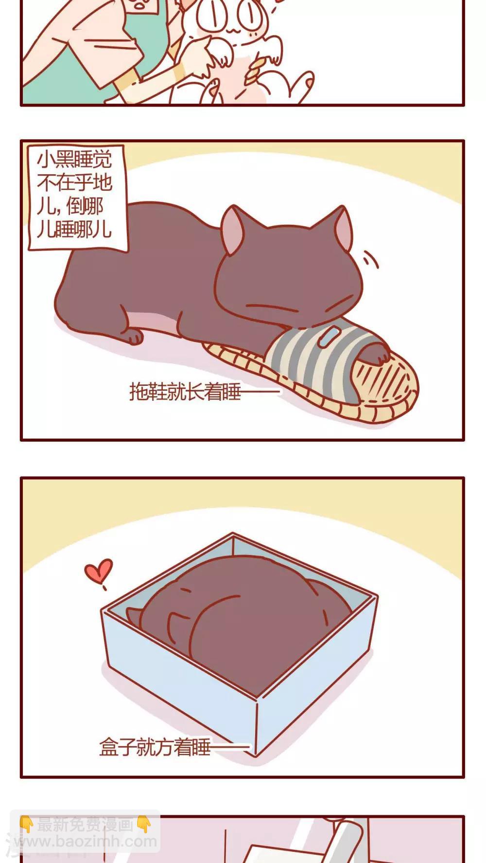 《猫咪甜品屋》第39话 第7页