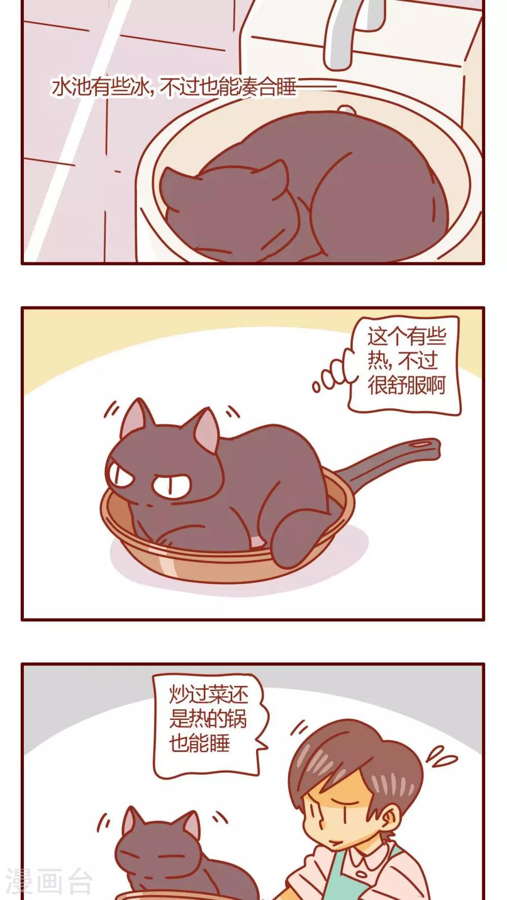 《猫咪甜品屋》第39话 第8页