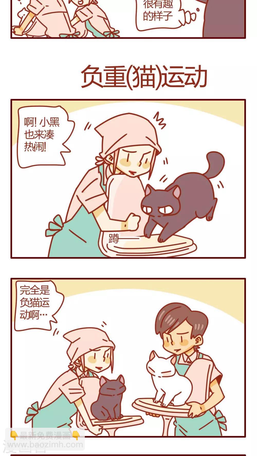 《猫咪甜品屋》第40话 第13页
