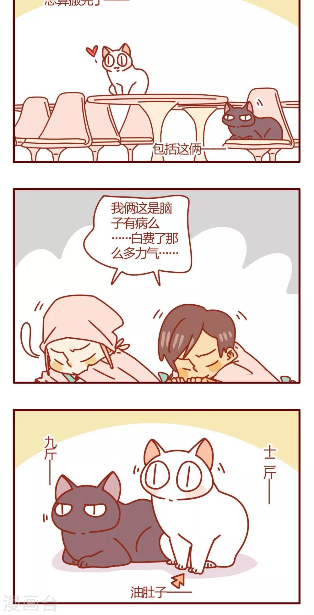 《猫咪甜品屋》第40话 第16页