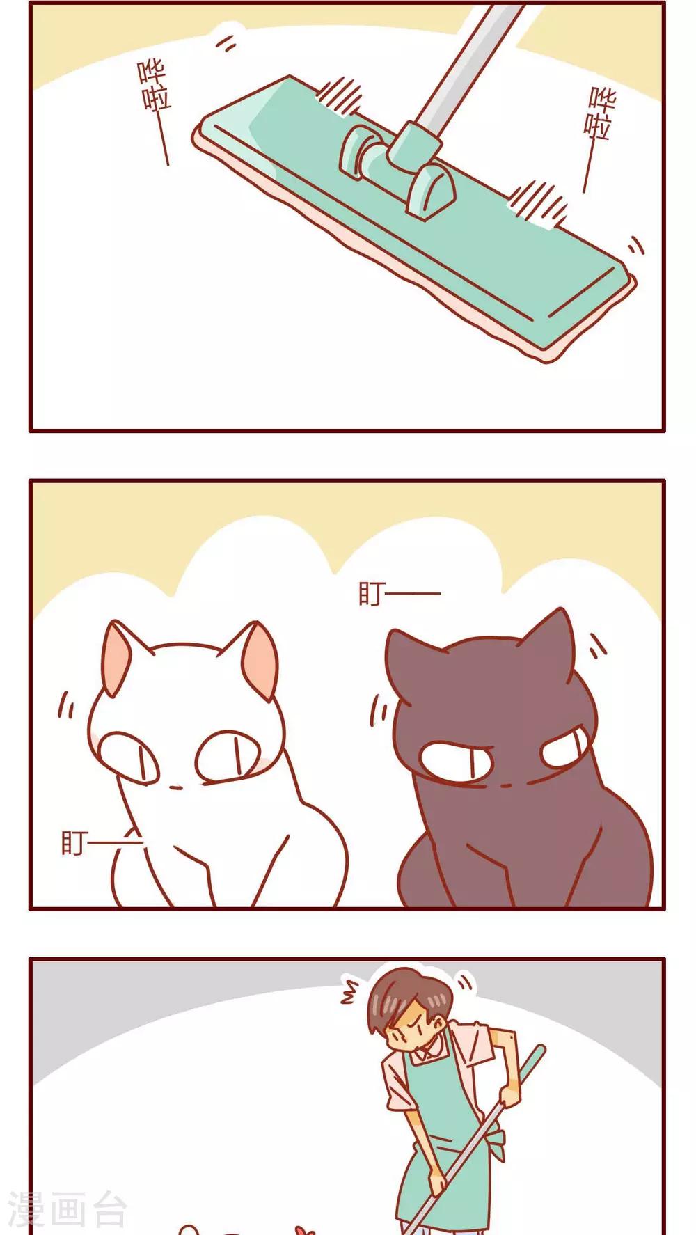 《猫咪甜品屋》第40话 第2页