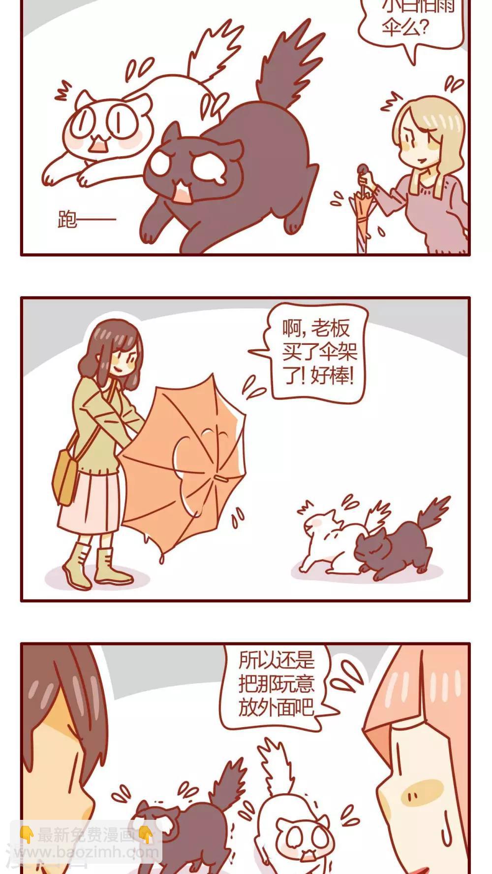 《猫咪甜品屋》第38话 第12页