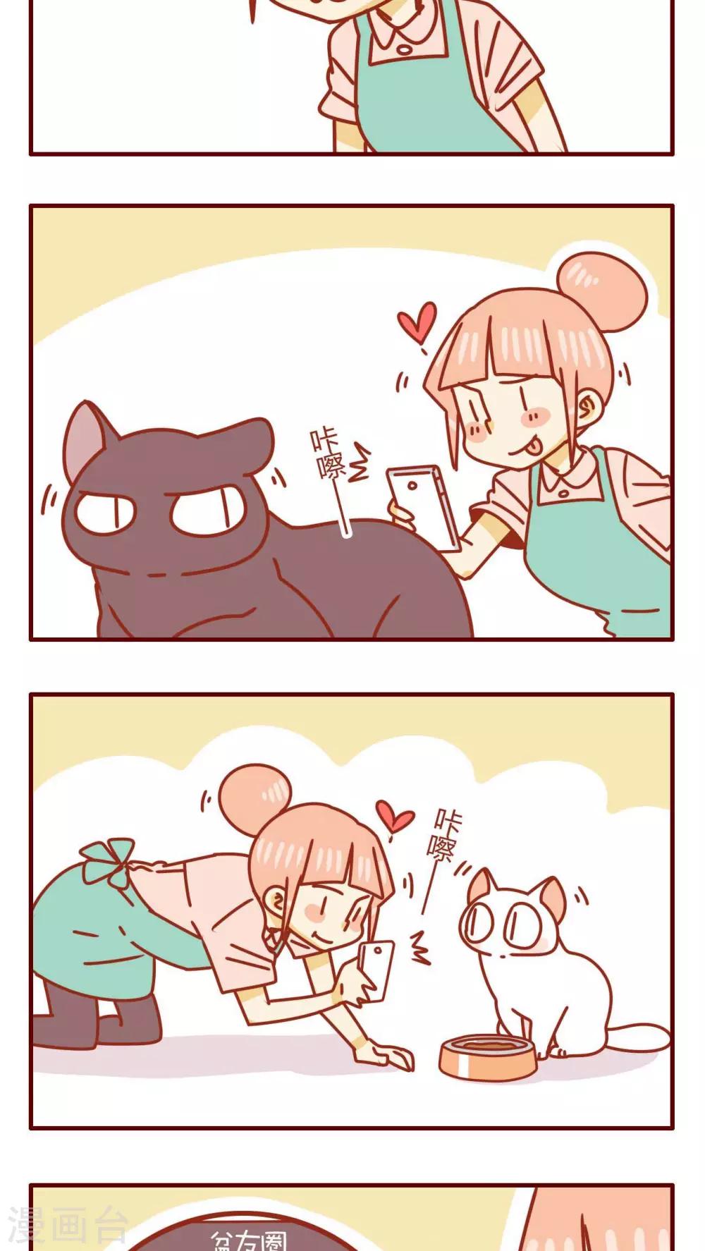 《猫咪甜品屋》第38话 第3页