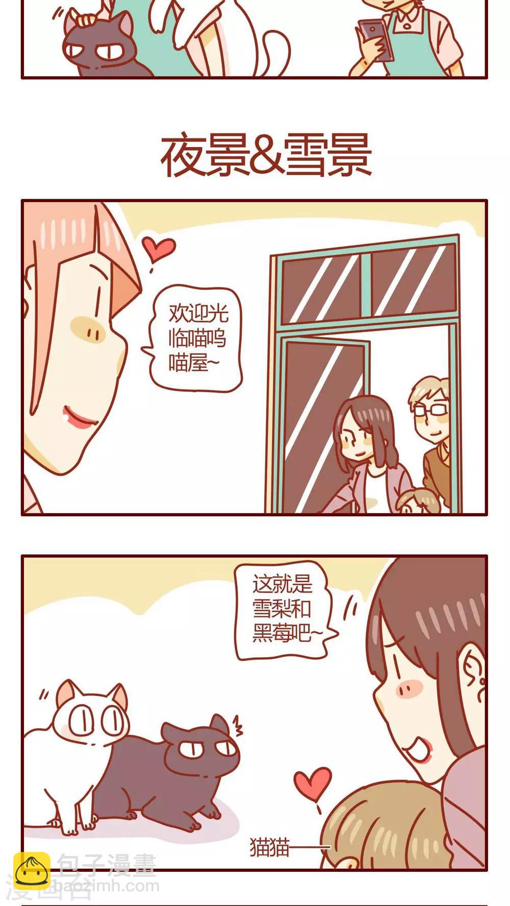 《猫咪甜品屋》第38话 第5页