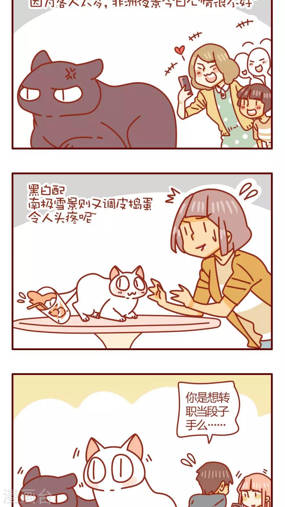 《猫咪甜品屋》第38话 第8页