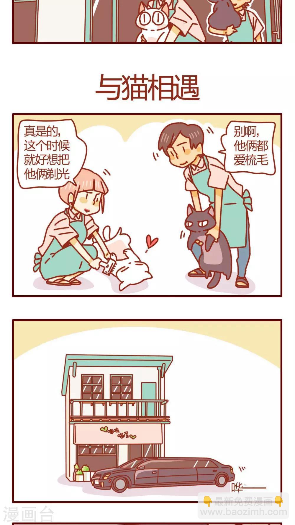《猫咪甜品屋》第42话 第17页