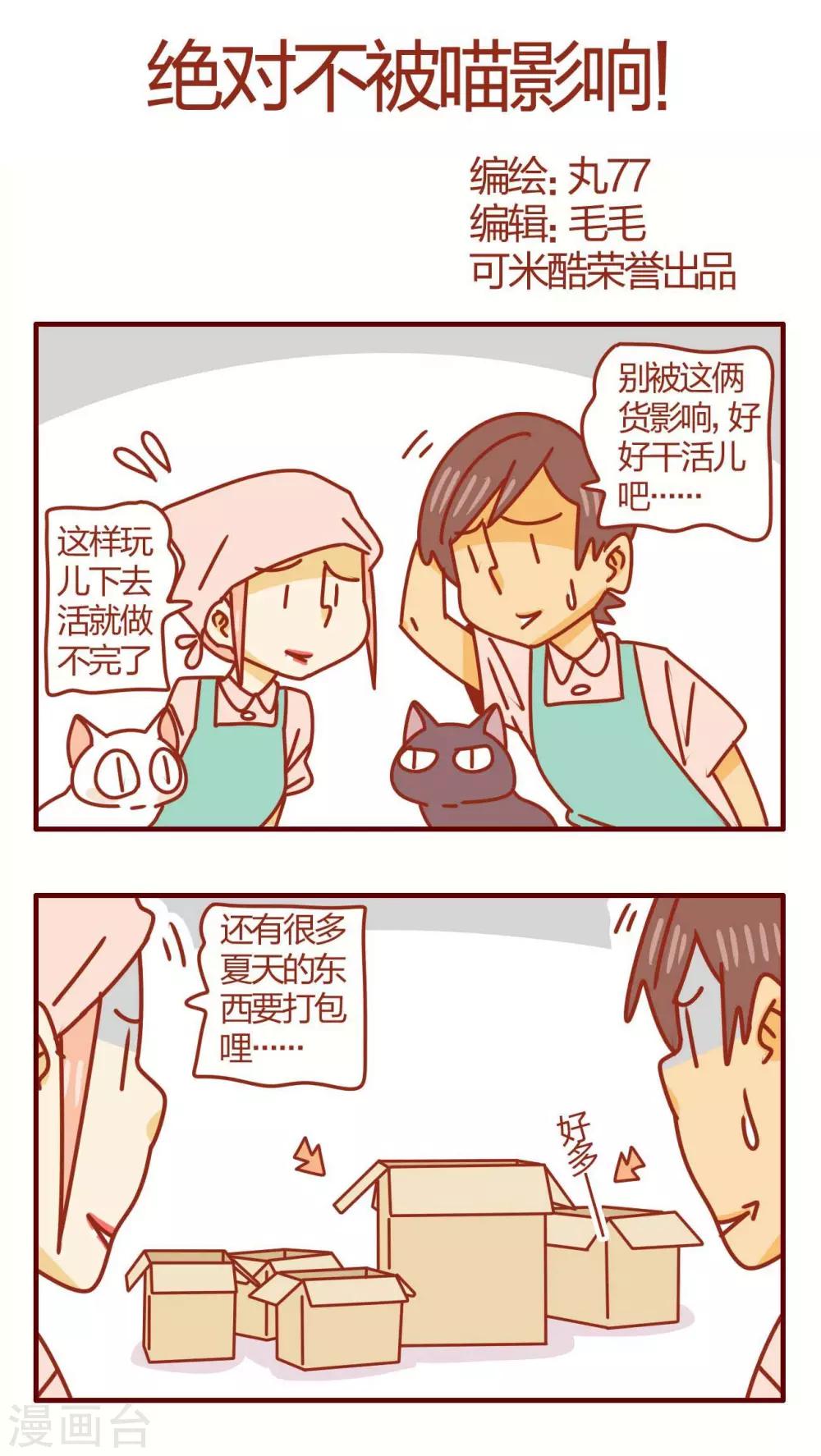 《猫咪甜品屋》第41话 第1页