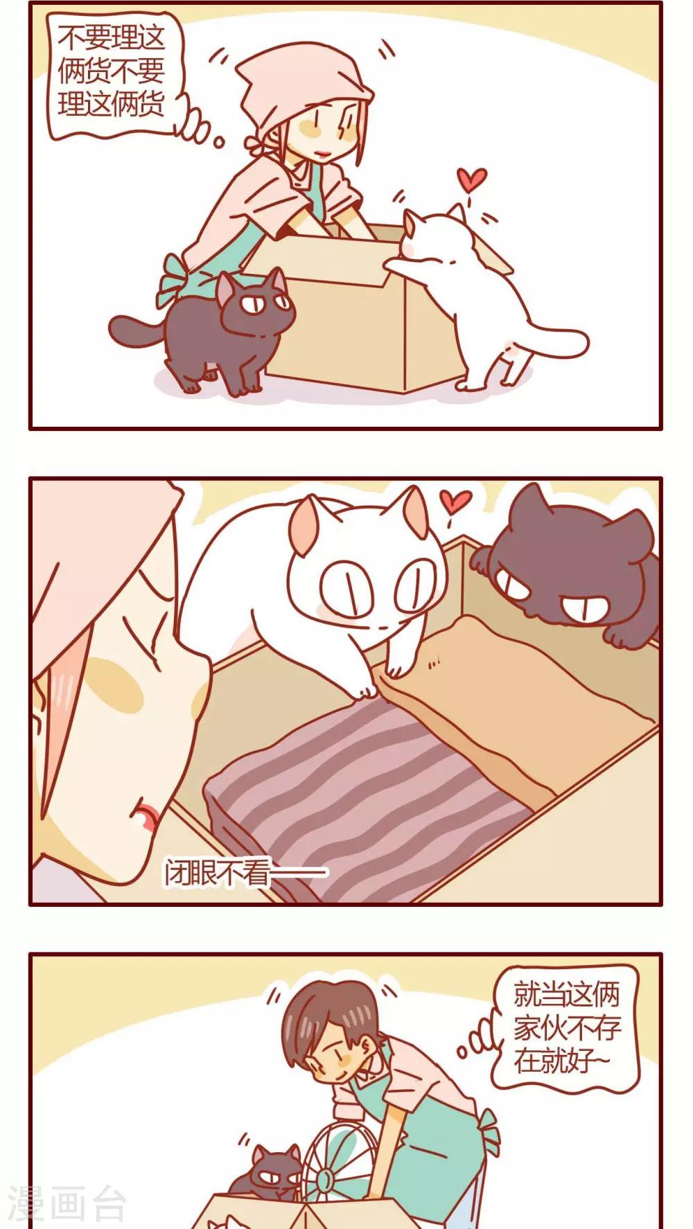 《猫咪甜品屋》第41话 第2页