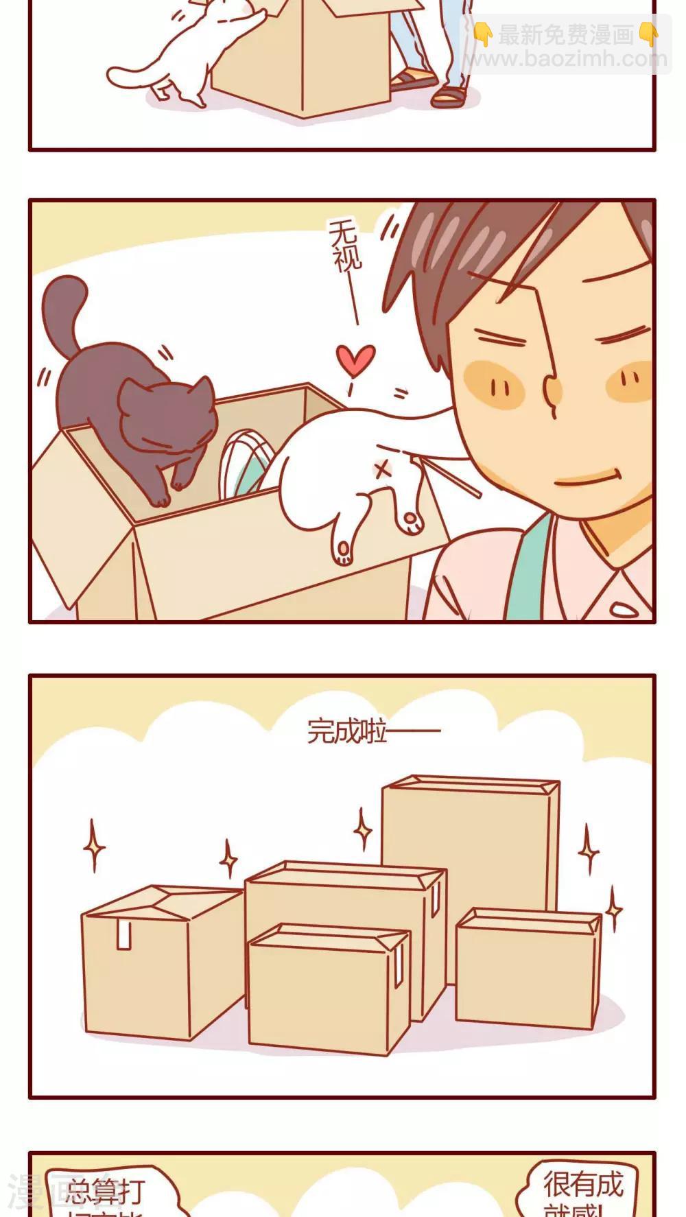 《猫咪甜品屋》第41话 第3页