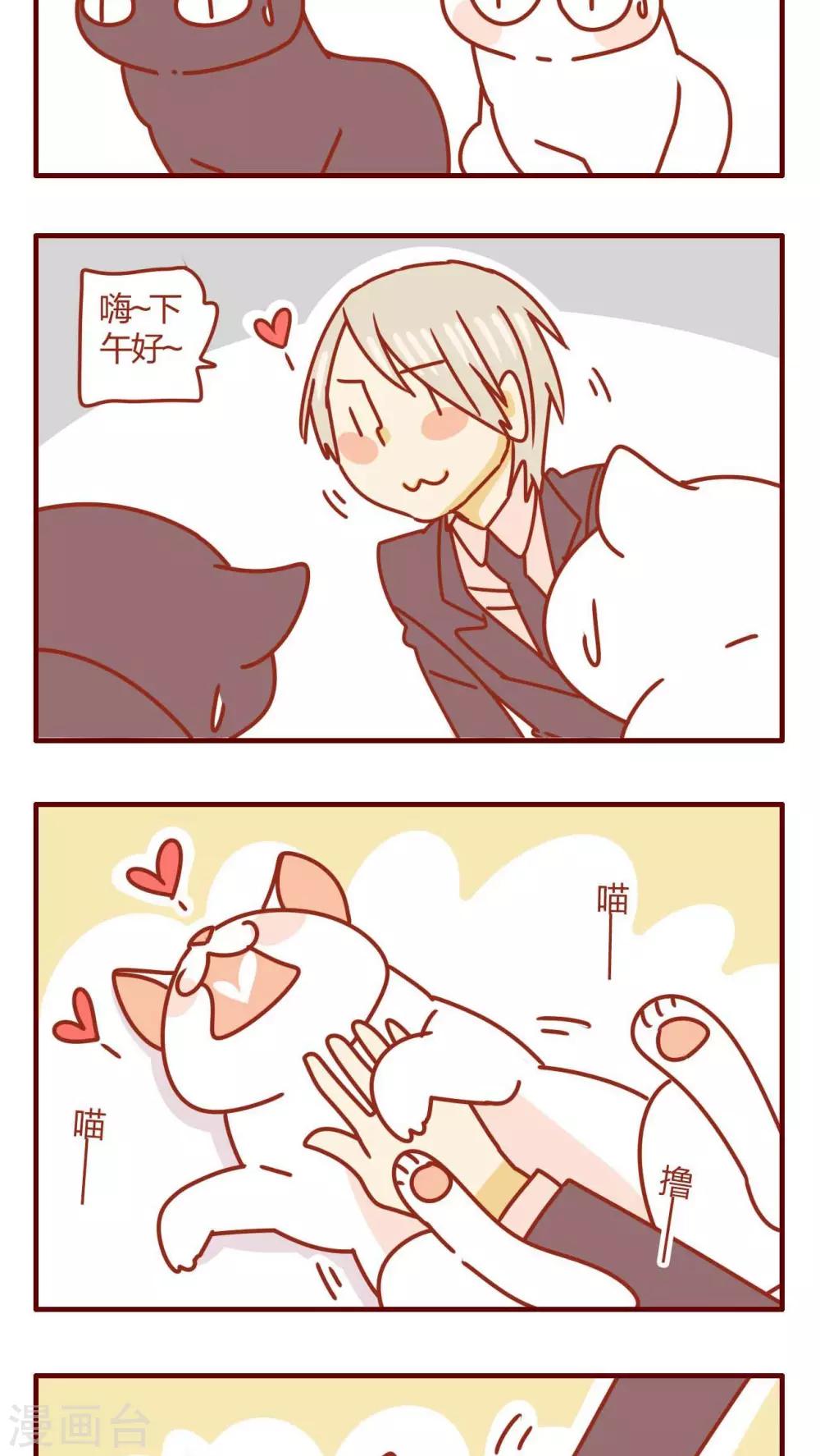 《猫咪甜品屋》第44话 第11页