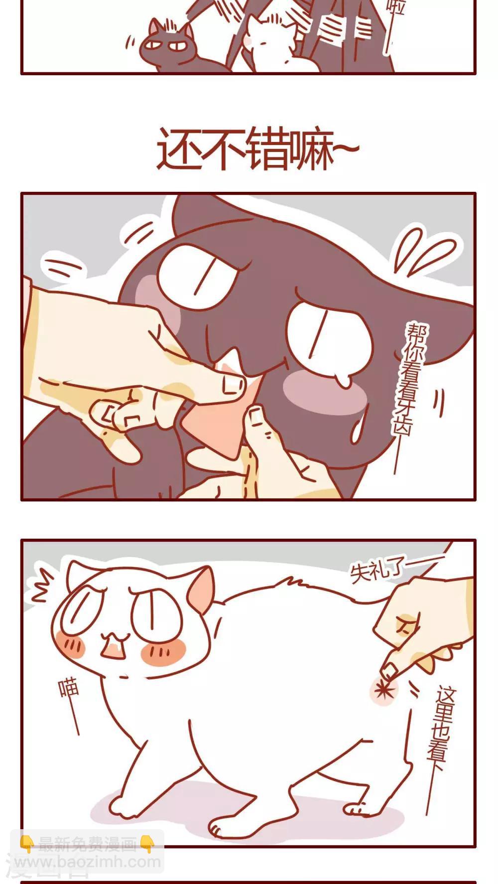 《猫咪甜品屋》第44话 第13页