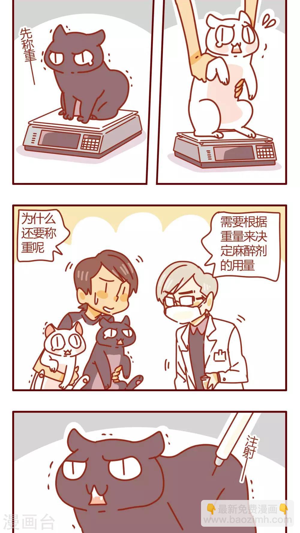 《猫咪甜品屋》第47话 第14页