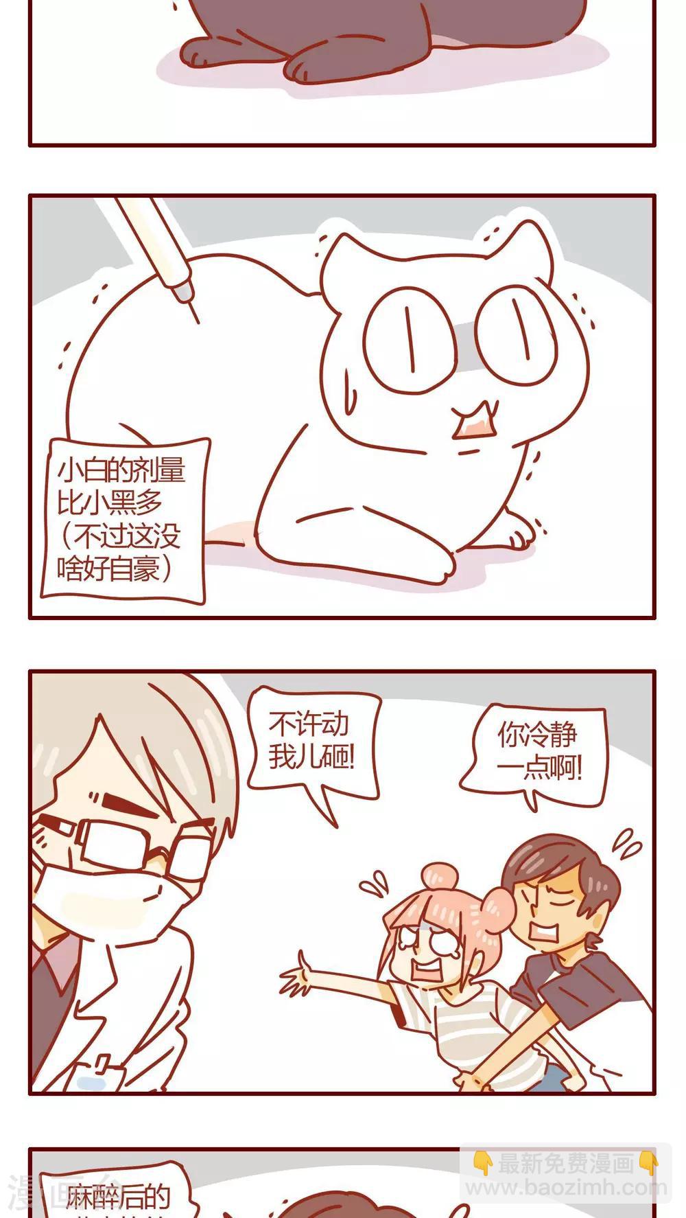 《猫咪甜品屋》第47话 第15页