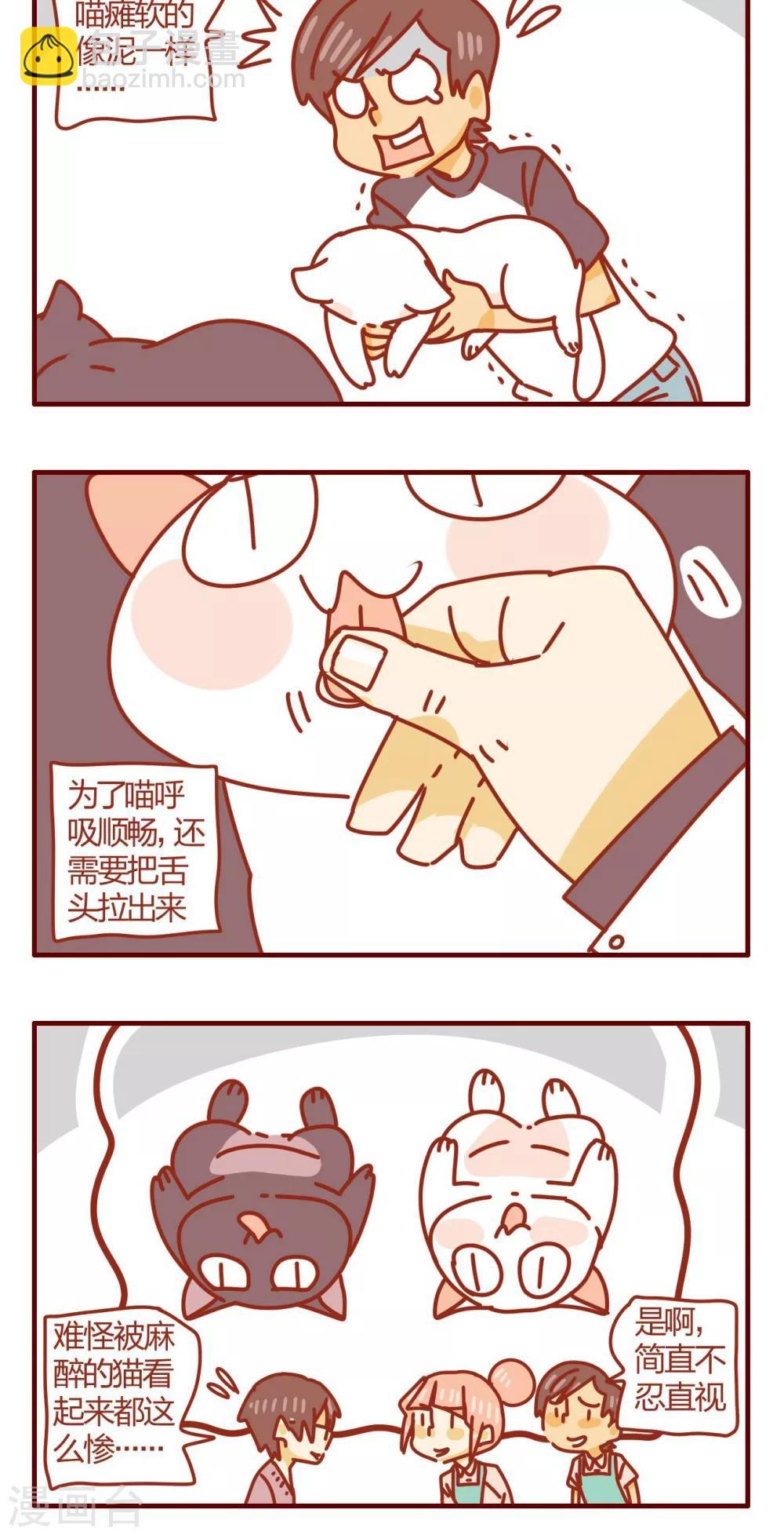 《猫咪甜品屋》第47话 第16页