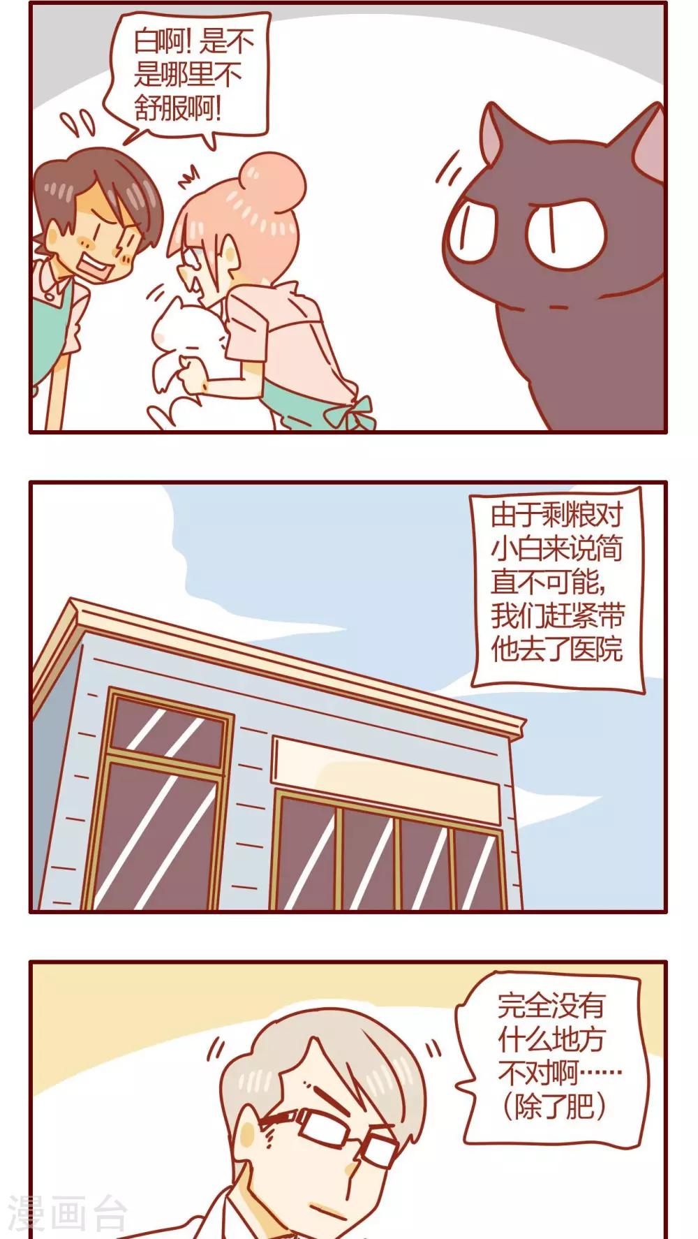 《猫咪甜品屋》第47话 第2页