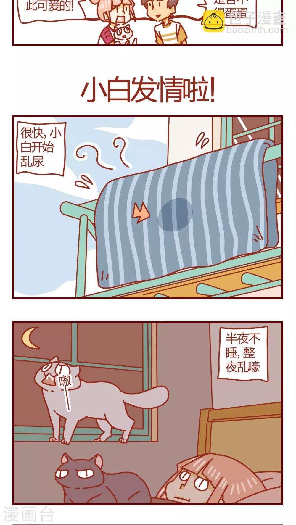 《猫咪甜品屋》第47话 第5页