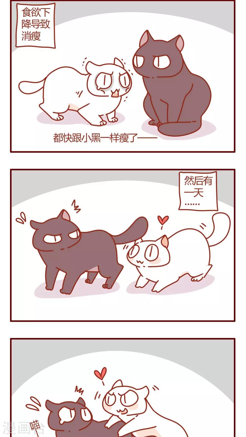 《猫咪甜品屋》第47话 第6页
