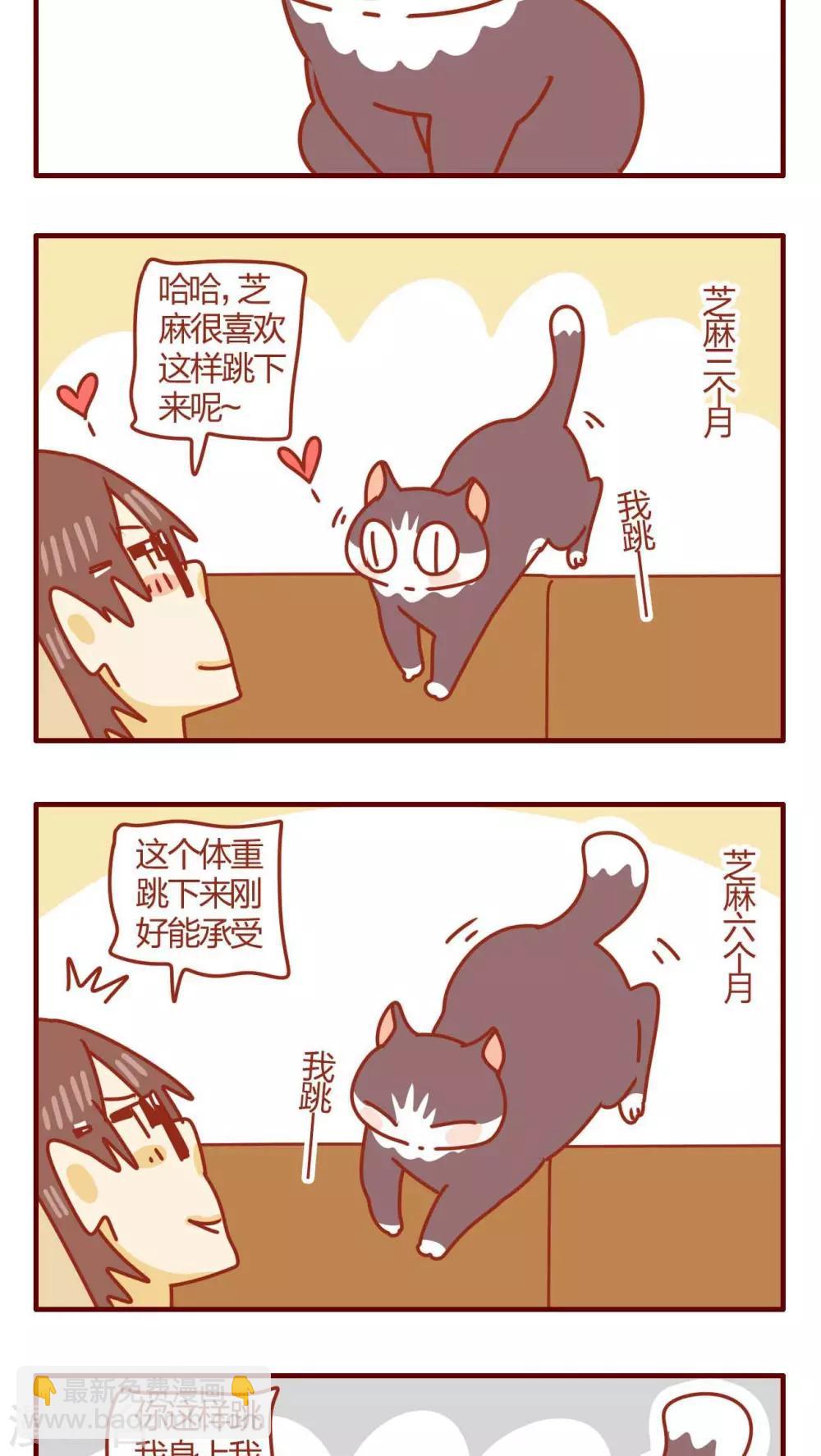 《猫咪甜品屋》第46话 第11页