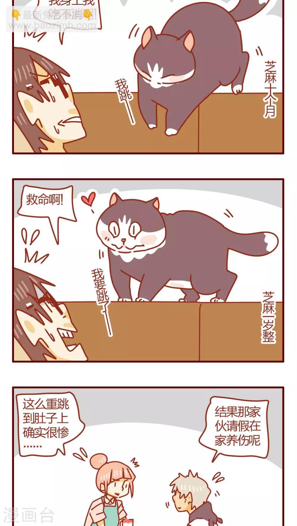 《猫咪甜品屋》第46话 第12页