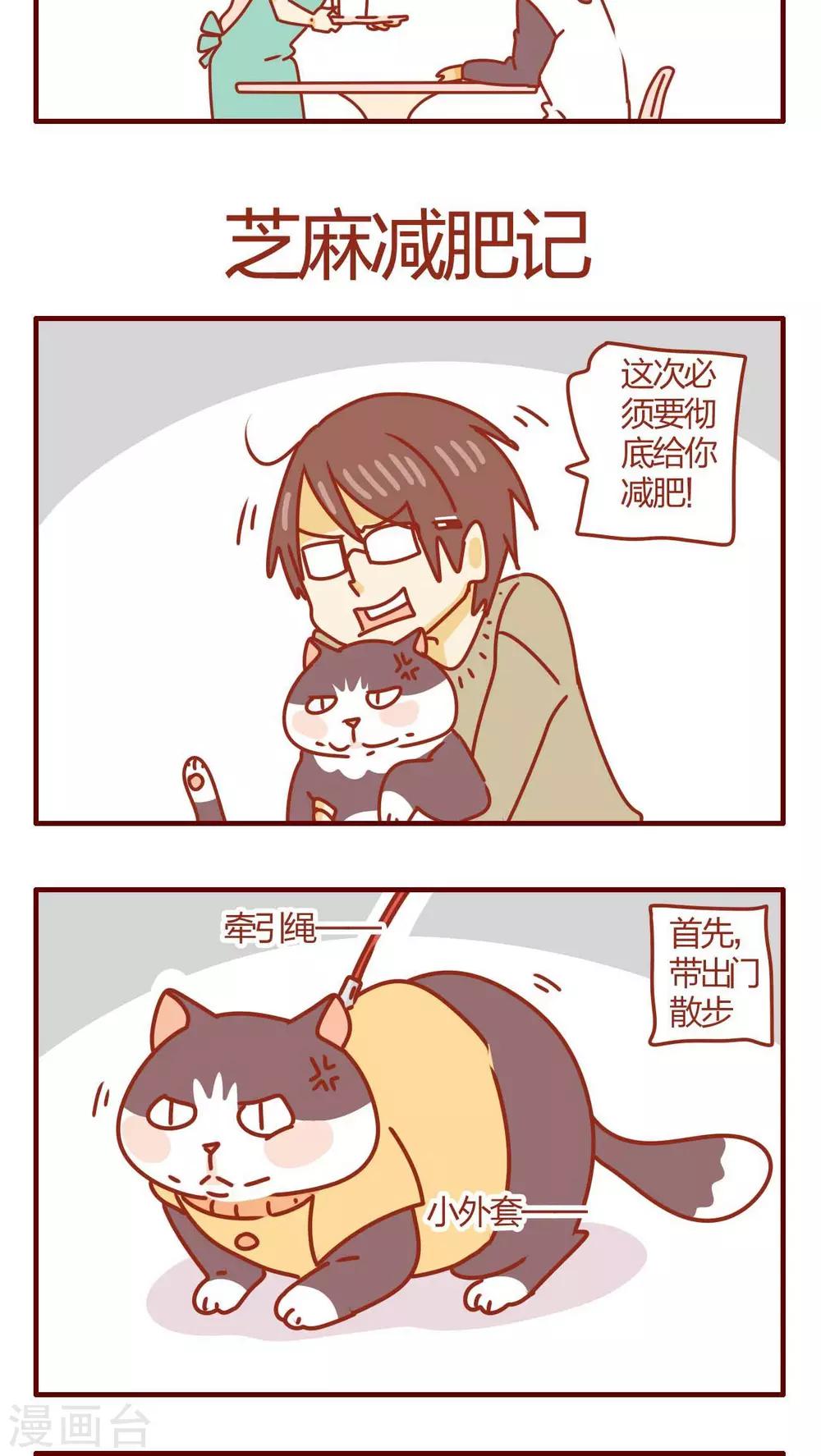 《猫咪甜品屋》第46话 第13页