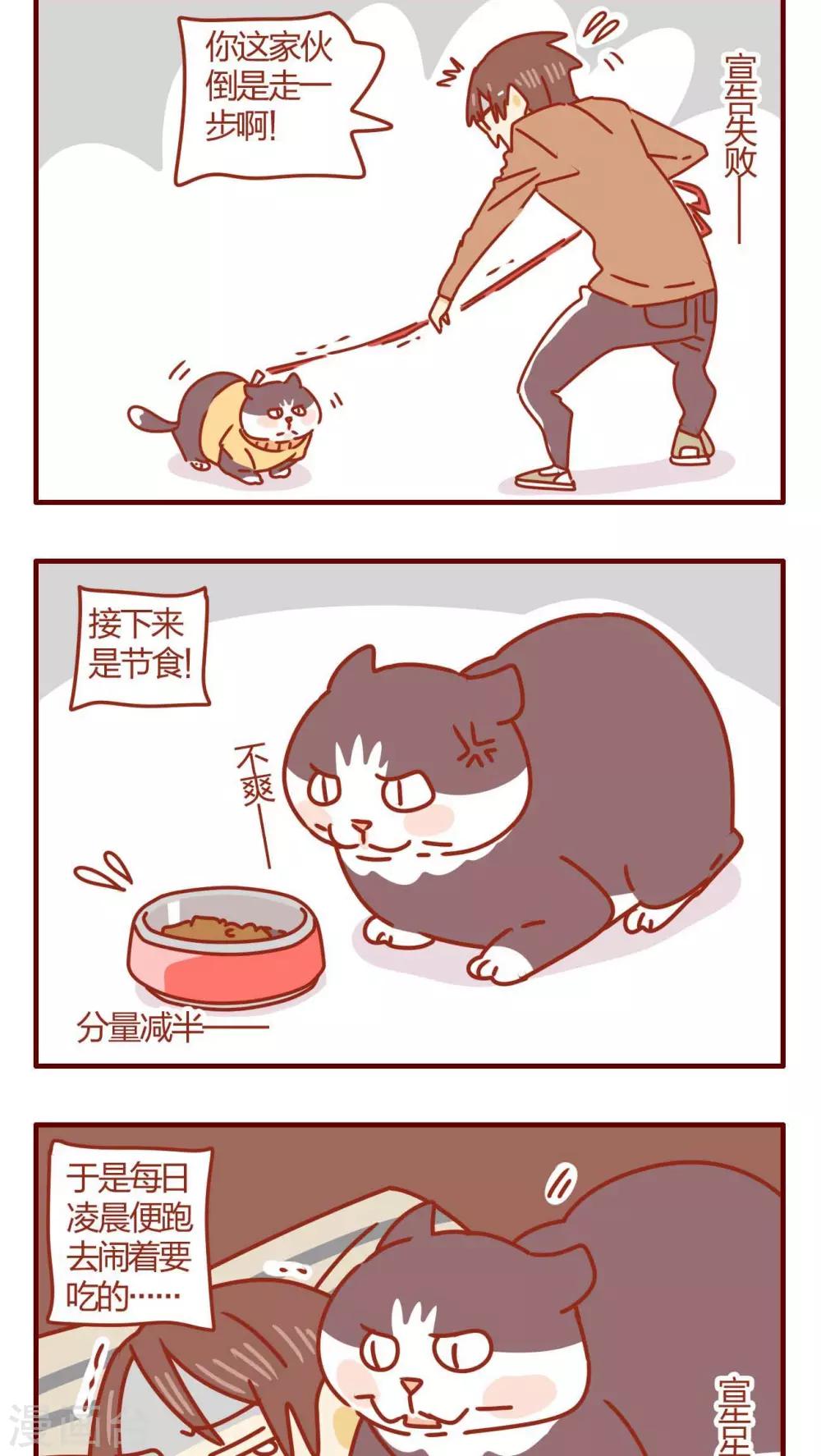 《猫咪甜品屋》第46话 第14页