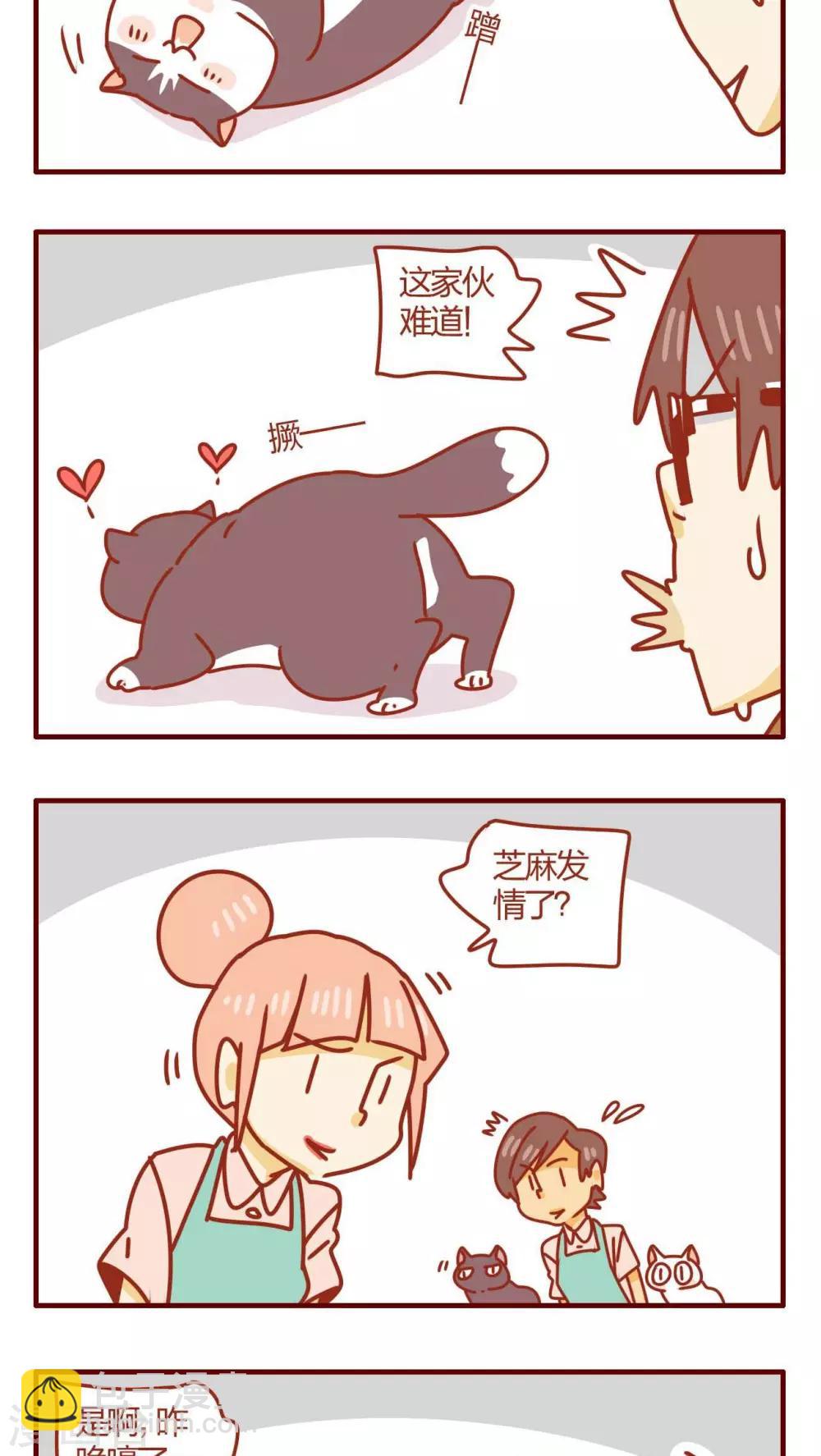 《猫咪甜品屋》第46话 第19页