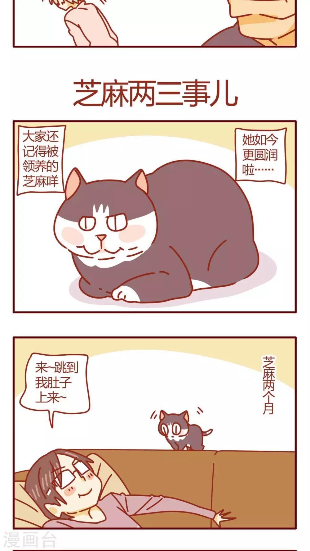 《猫咪甜品屋》第46话 第9页