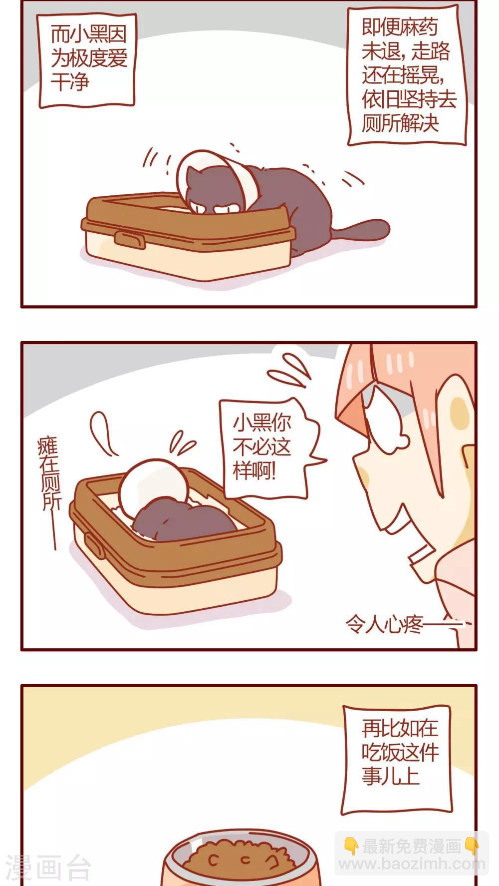 《猫咪甜品屋》第48话 第10页