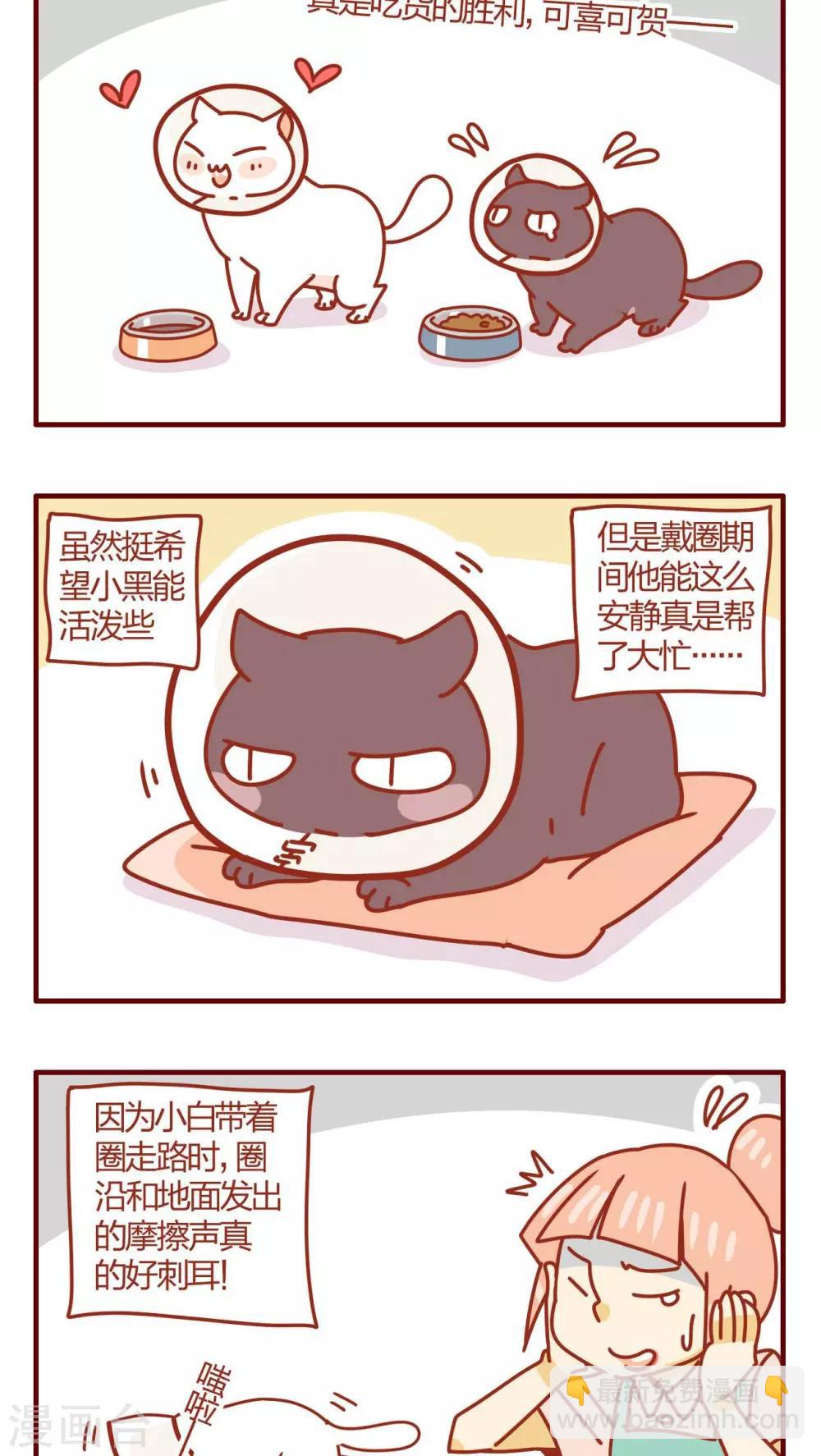 《猫咪甜品屋》第48话 第12页