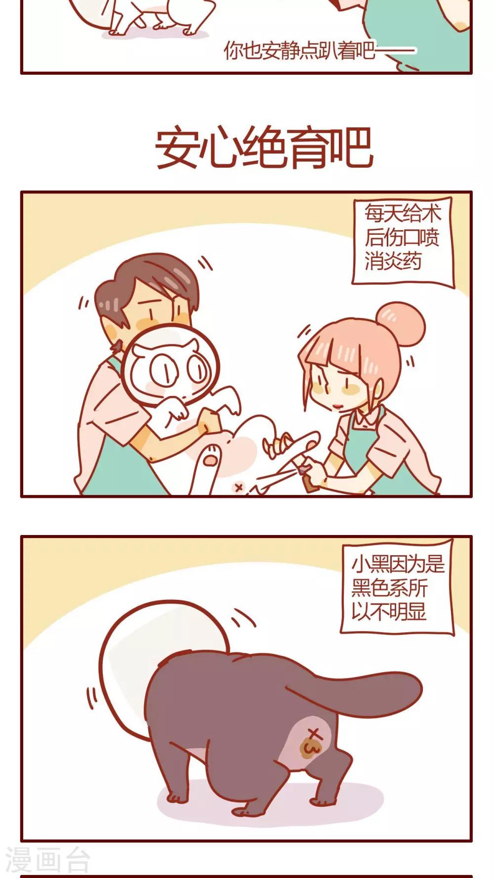 《猫咪甜品屋》第48话 第13页