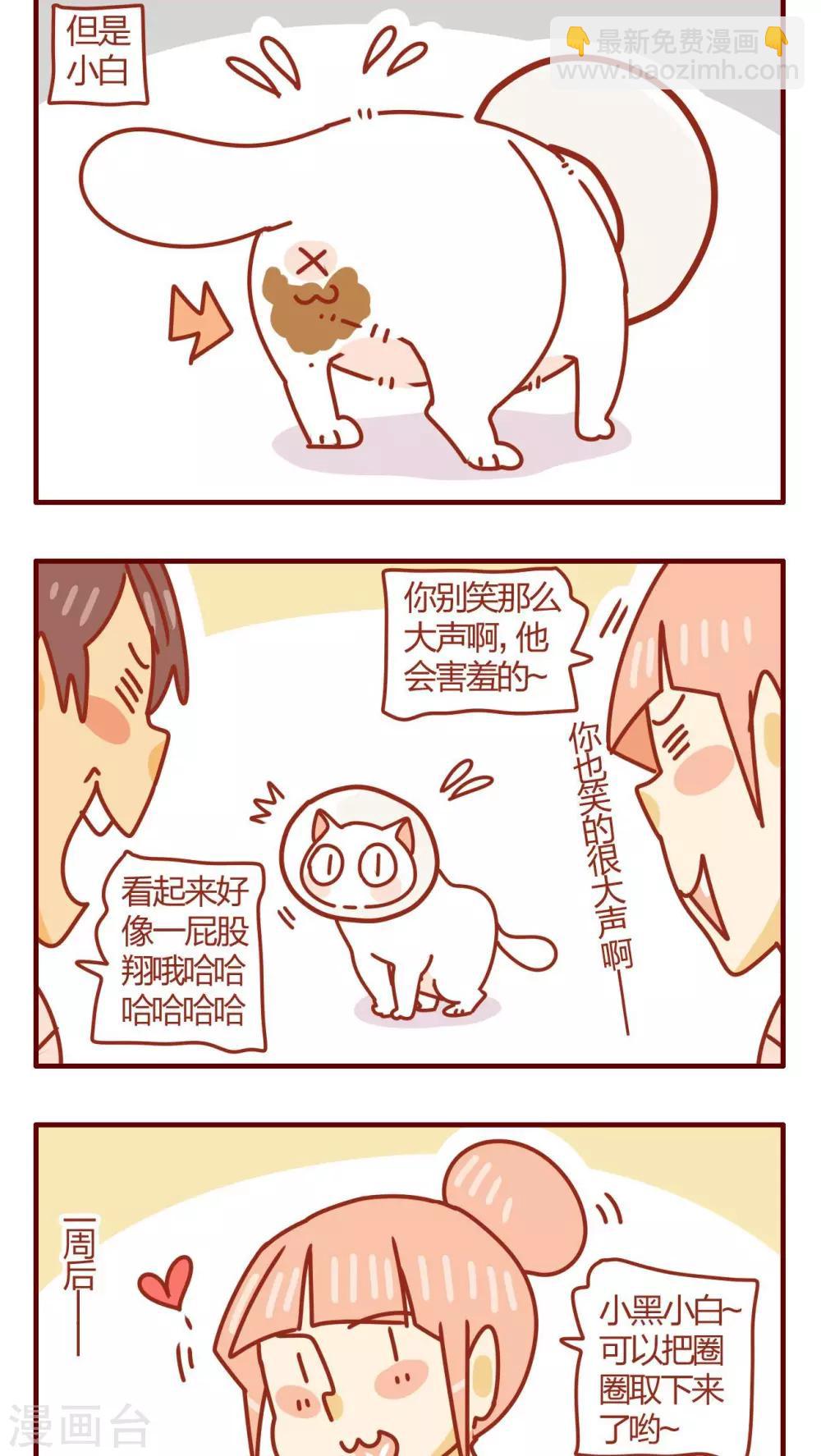 《猫咪甜品屋》第48话 第14页