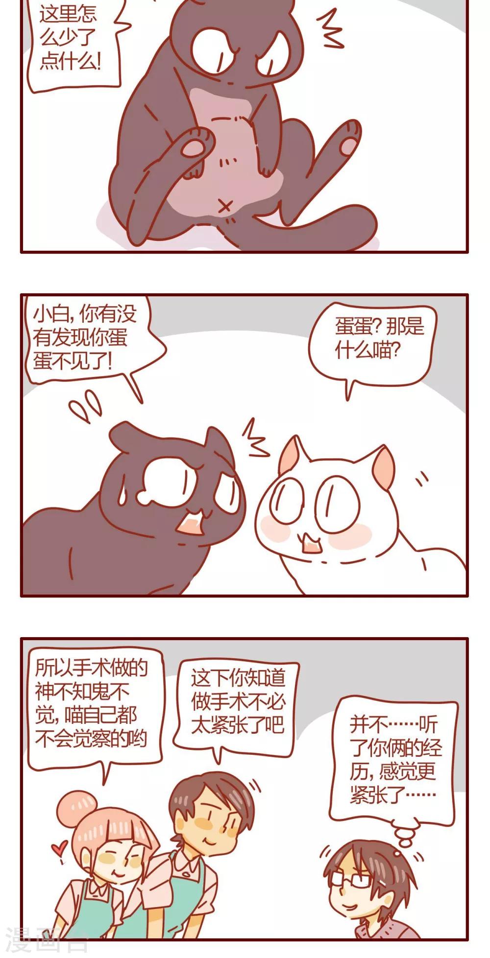 《猫咪甜品屋》第48话 第16页