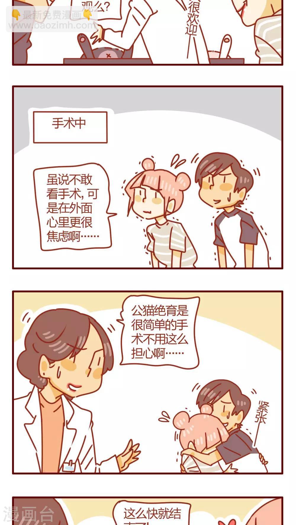 《猫咪甜品屋》第48话 第3页
