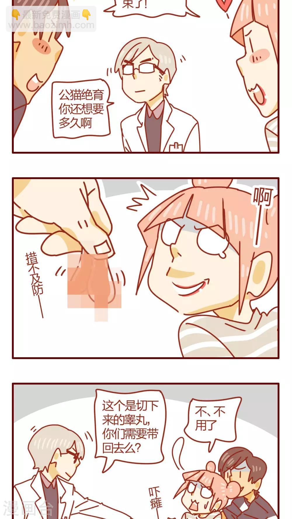 《猫咪甜品屋》第48话 第4页
