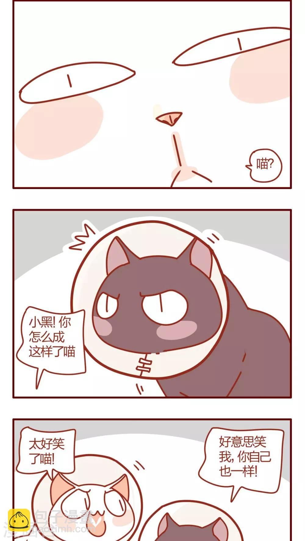 《猫咪甜品屋》第48话 第6页