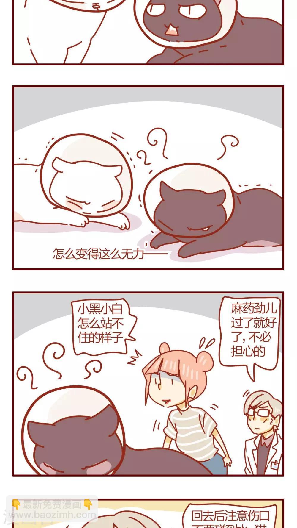 《猫咪甜品屋》第48话 第7页