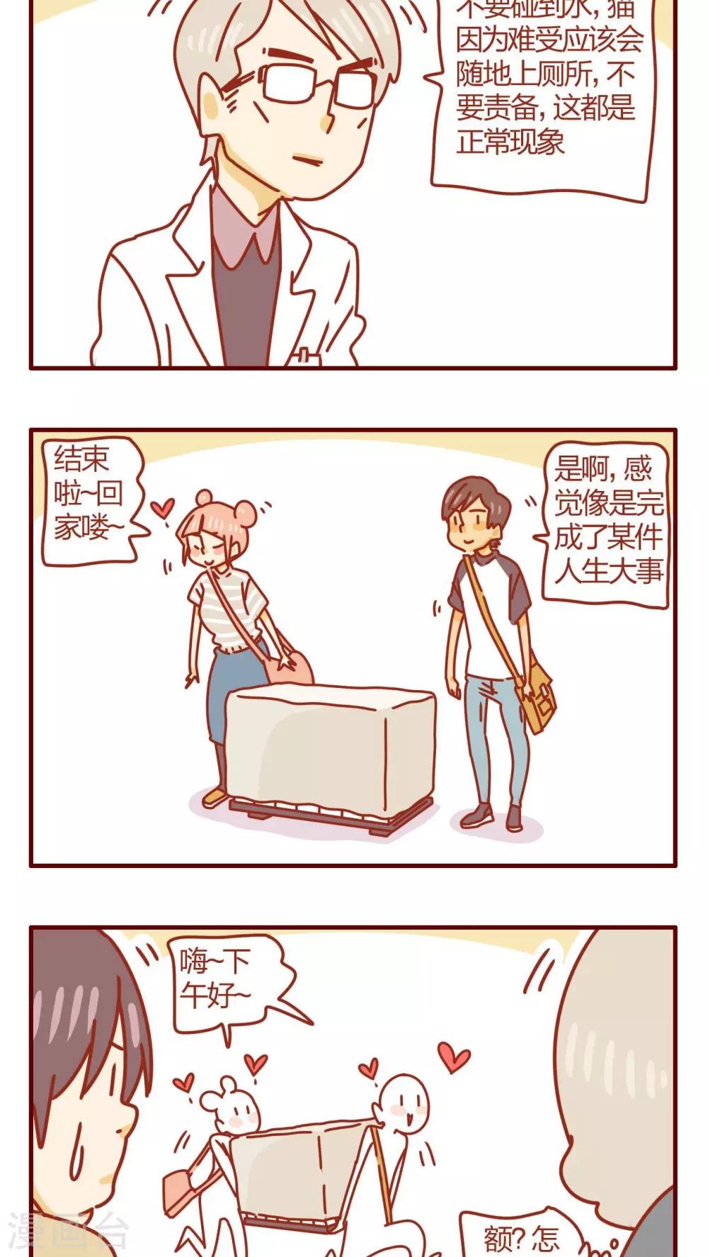 《猫咪甜品屋》第48话 第8页