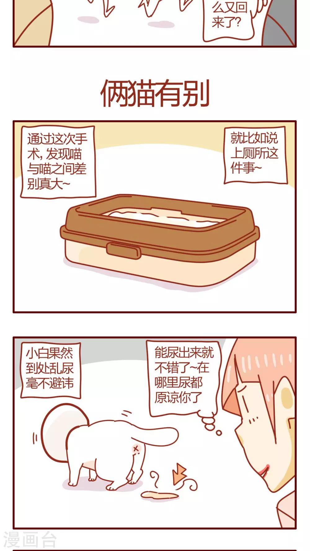 《猫咪甜品屋》第48话 第9页