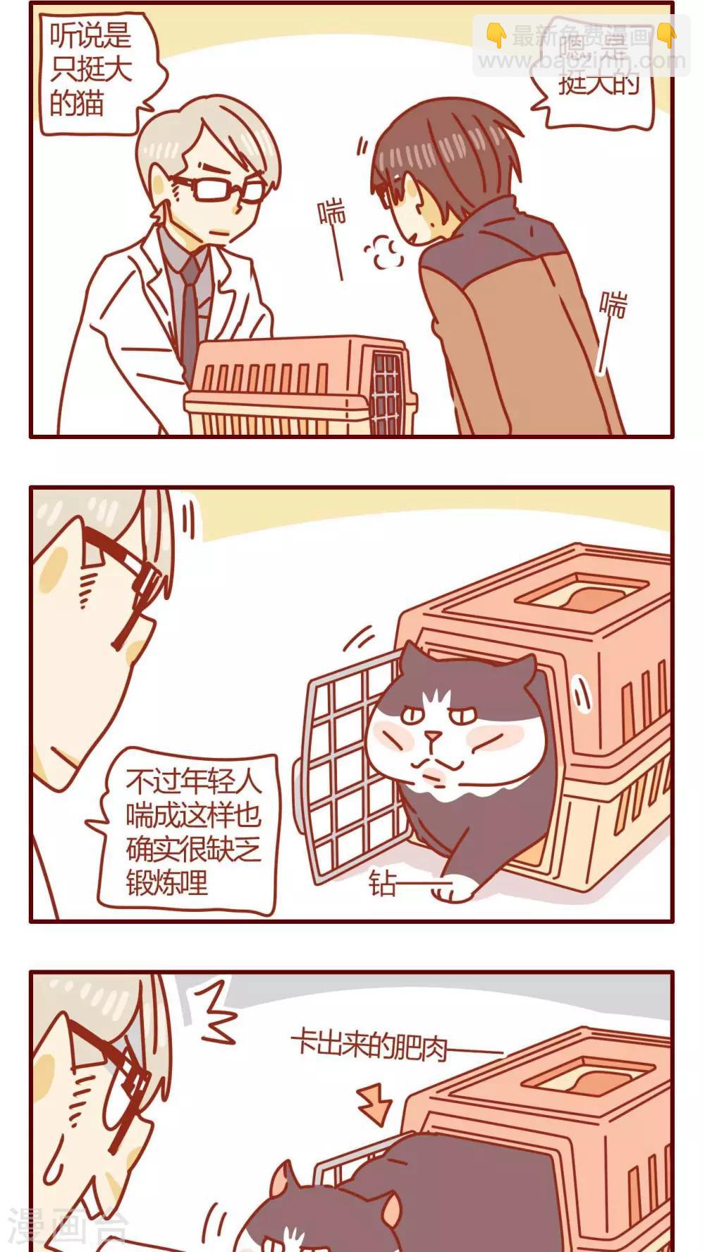 《猫咪甜品屋》第49话 第2页