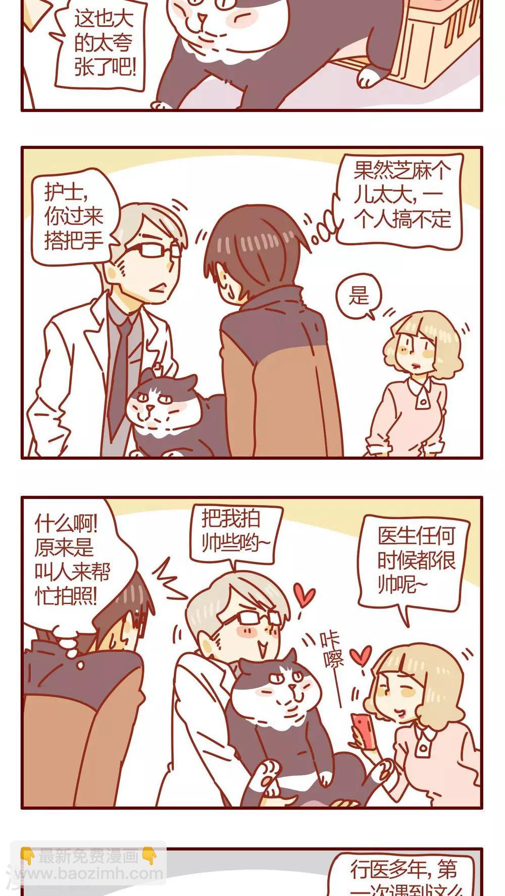 《猫咪甜品屋》第49话 第3页