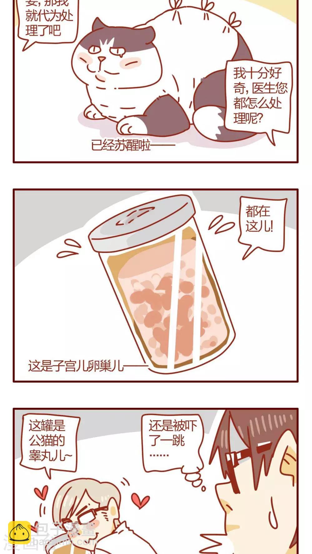 《猫咪甜品屋》第49话 第8页