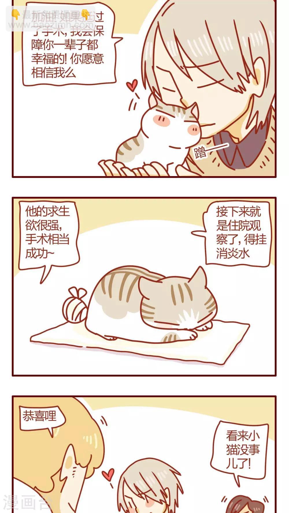 《猫咪甜品屋》第52话 第14页
