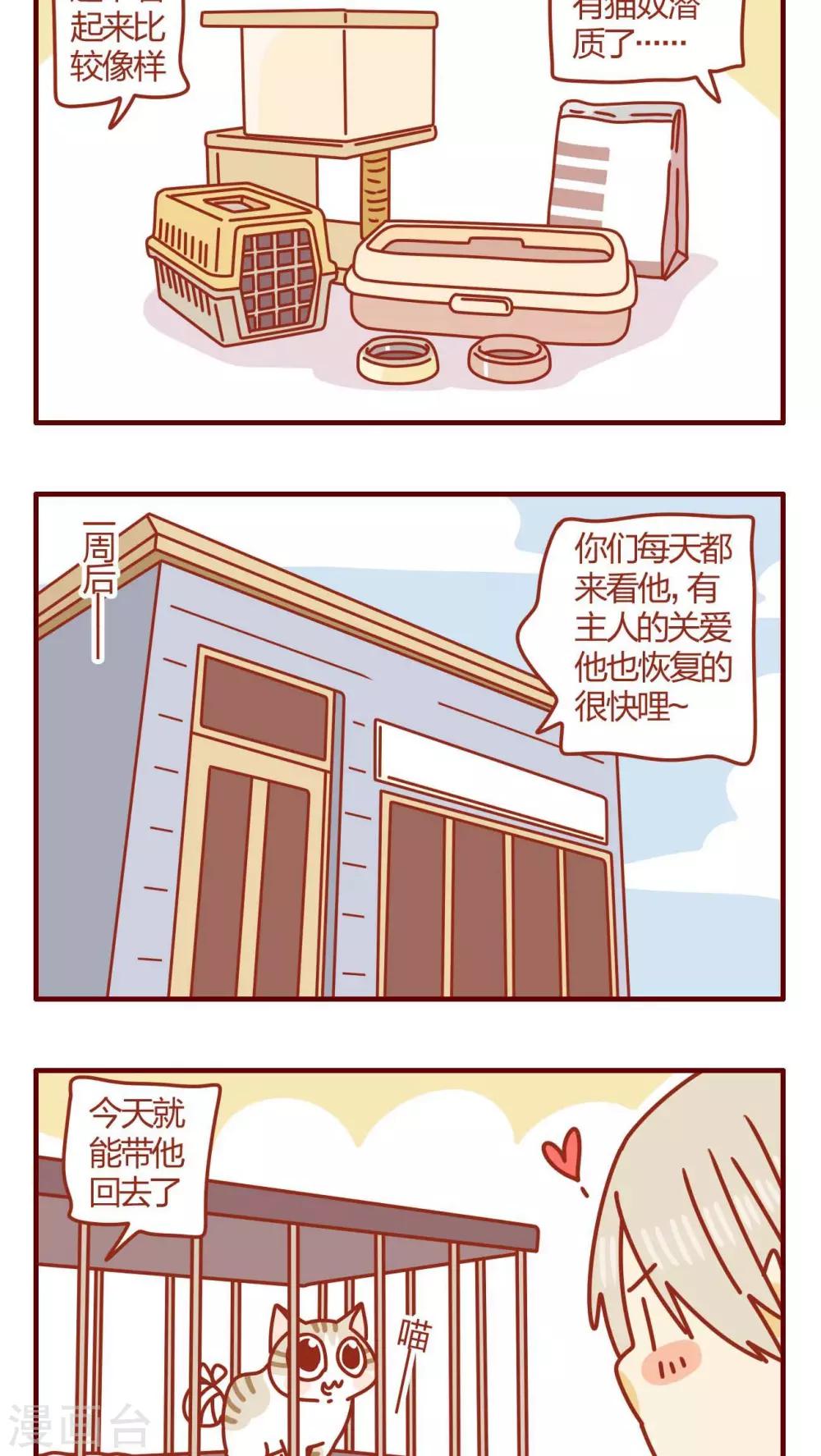 《猫咪甜品屋》第52话 第16页