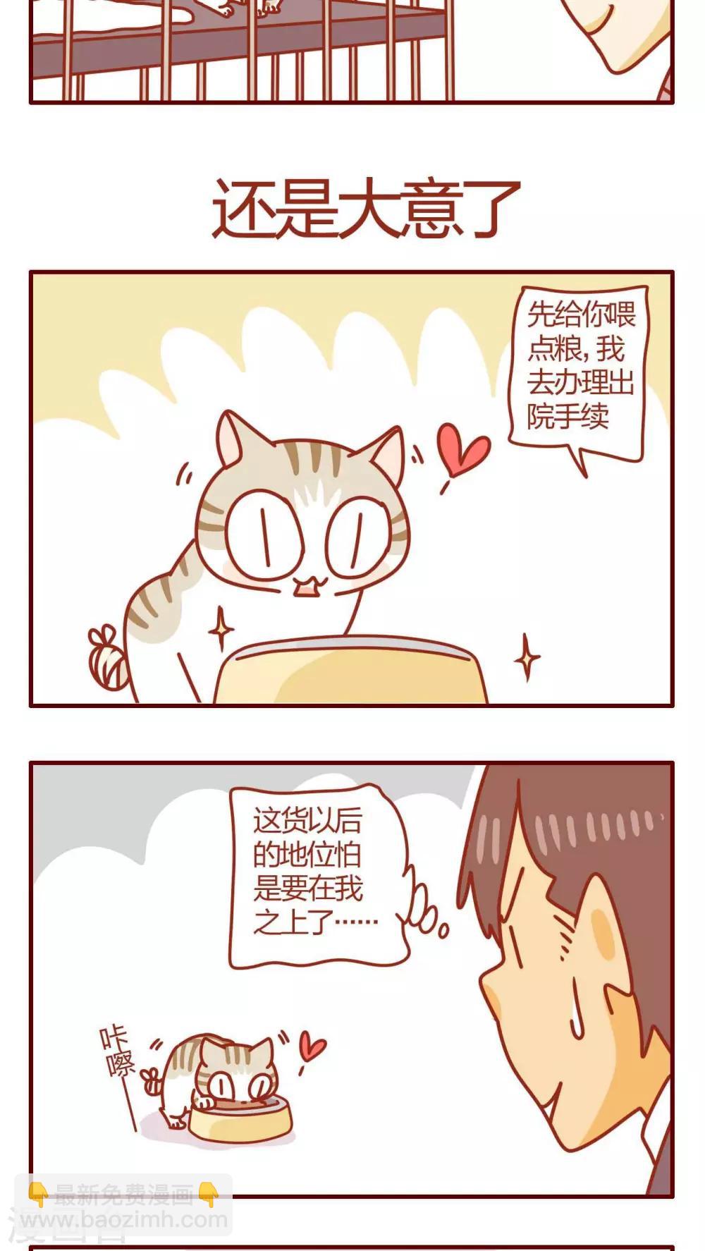 《猫咪甜品屋》第52话 第17页