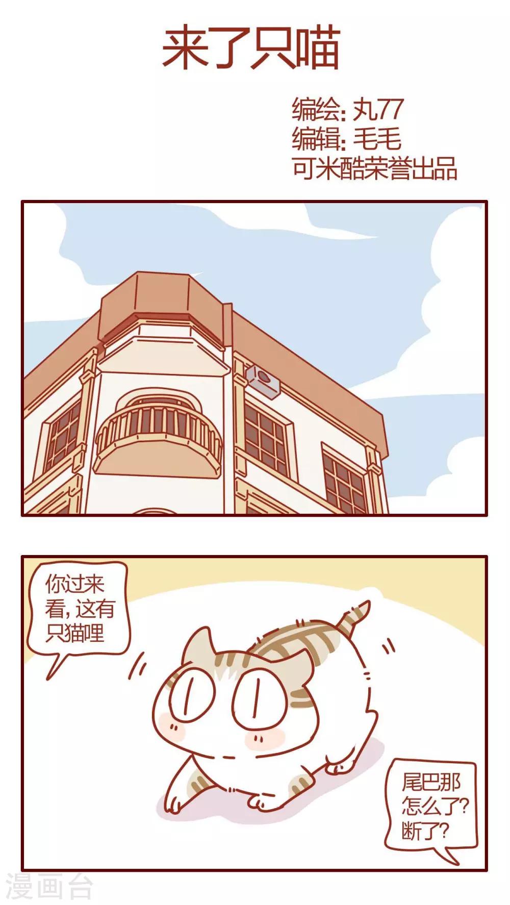 《猫咪甜品屋》第52话 第1页